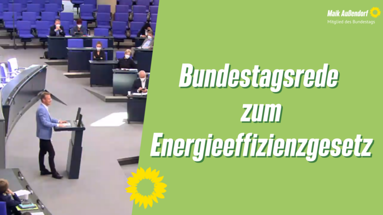 Bundestagsrede zum Energieeffizienzgesetz